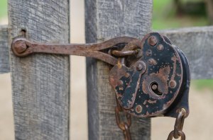 An old lock guards a gate