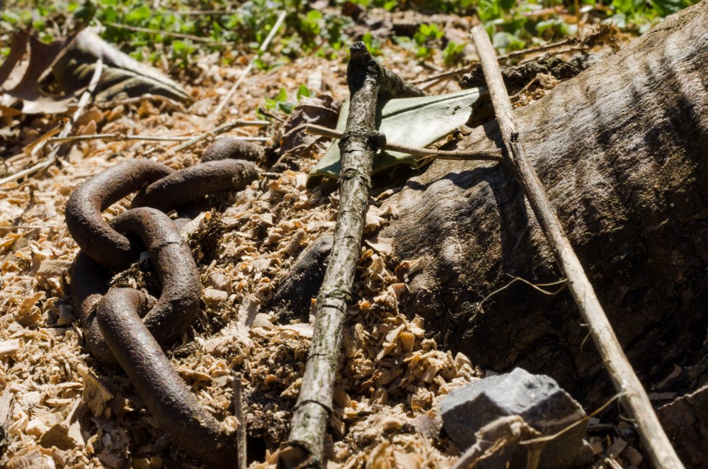 A old chain, partially buried around a tree stump