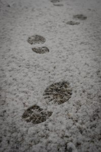 Footprints in the snow