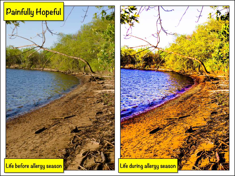 Visuals before and during allergy season - normal and beautiful vs. garish and mind-numbing
