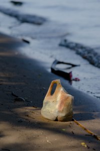 a gallon jug, cut to be a water scoop