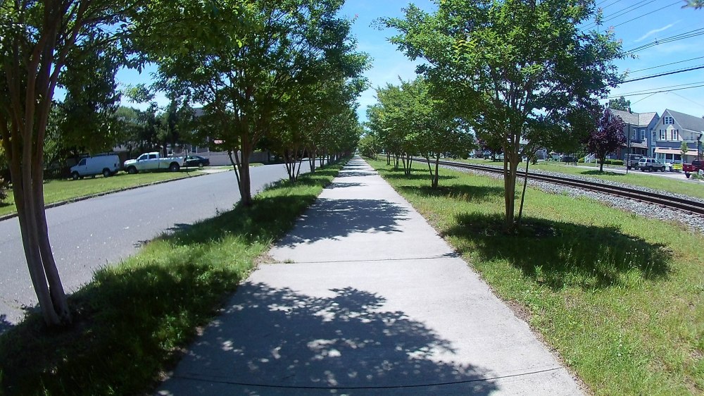 Still from the Action Cam with fish eye effect.