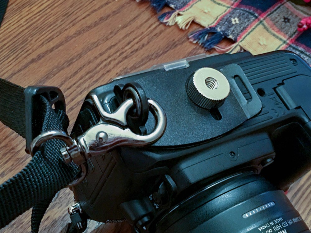 Bottom plate and clip