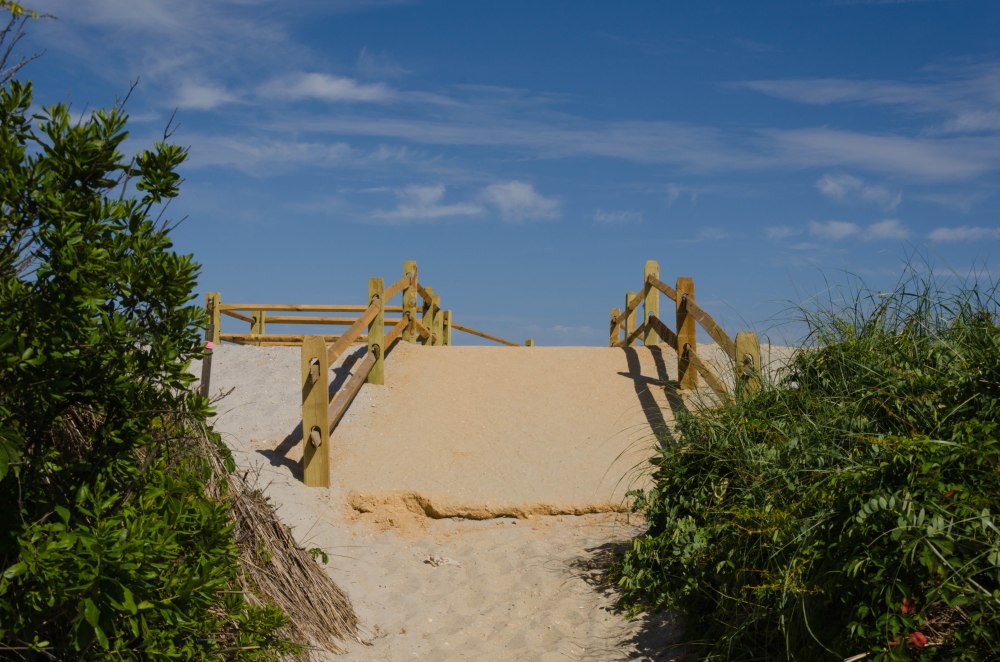 Beach Path