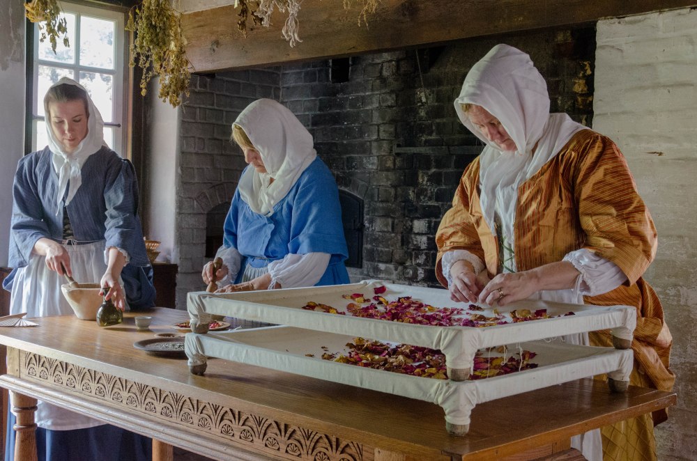 Colonial Healers at work