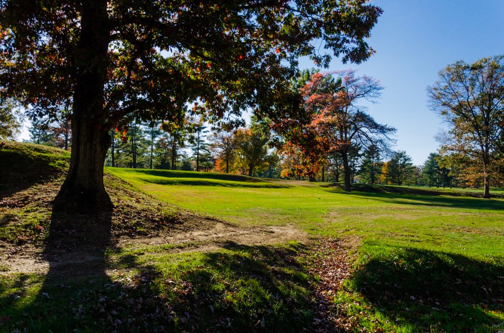 Looking from the late afternoon shadows, toward the light of an open golf course fairway.