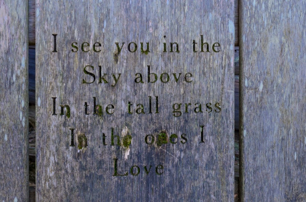 I see you in the Sky above - In the tall grass - In the ones I love