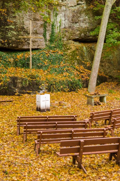 Green Cathedral in Late Fall