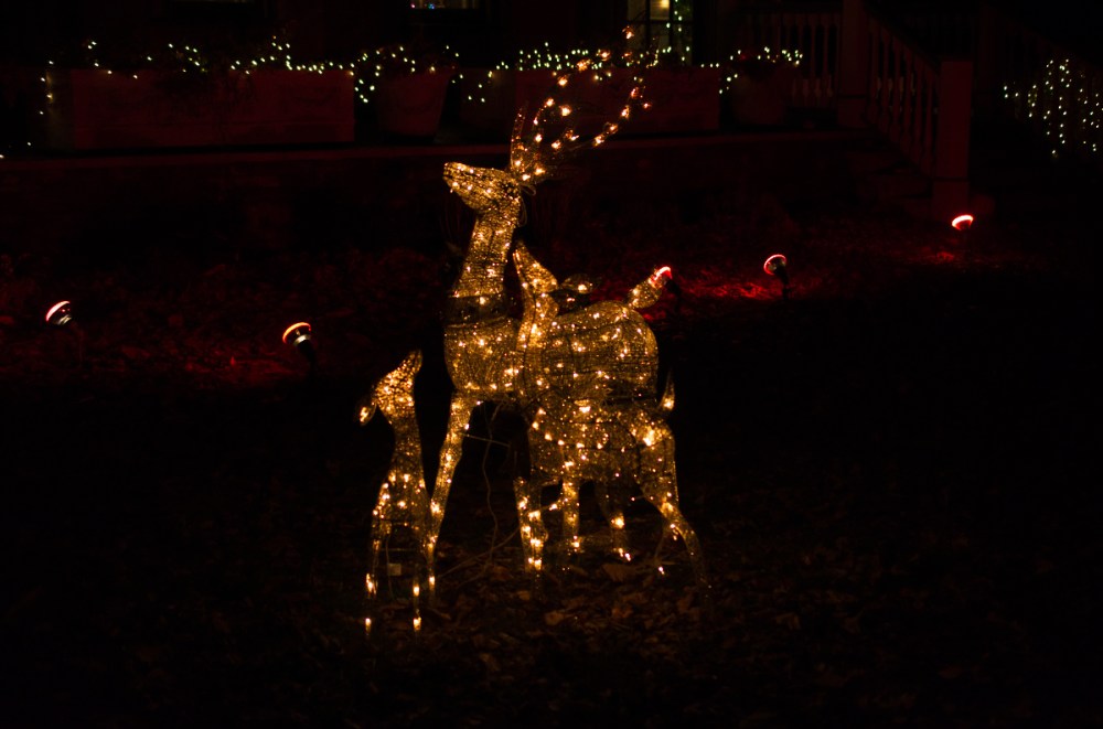 A family of deer, made up of Christmas lights.