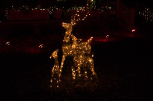A family of deer, made up of Christmas lights.