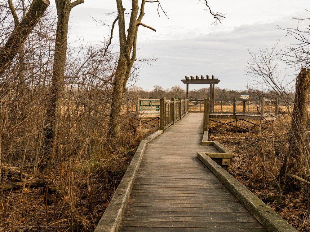 The boardwalk ends in a seating area.