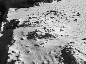 Cold Temperatures and snow make for a sand-like blanket on the winter ground.