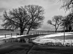 A slumbering tree guards the space between the river and the roadway.