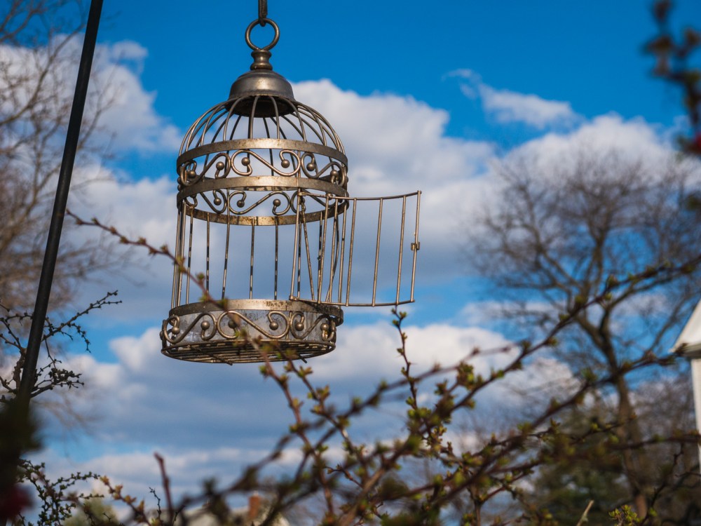 Decorative Birdcage against a blue sky.