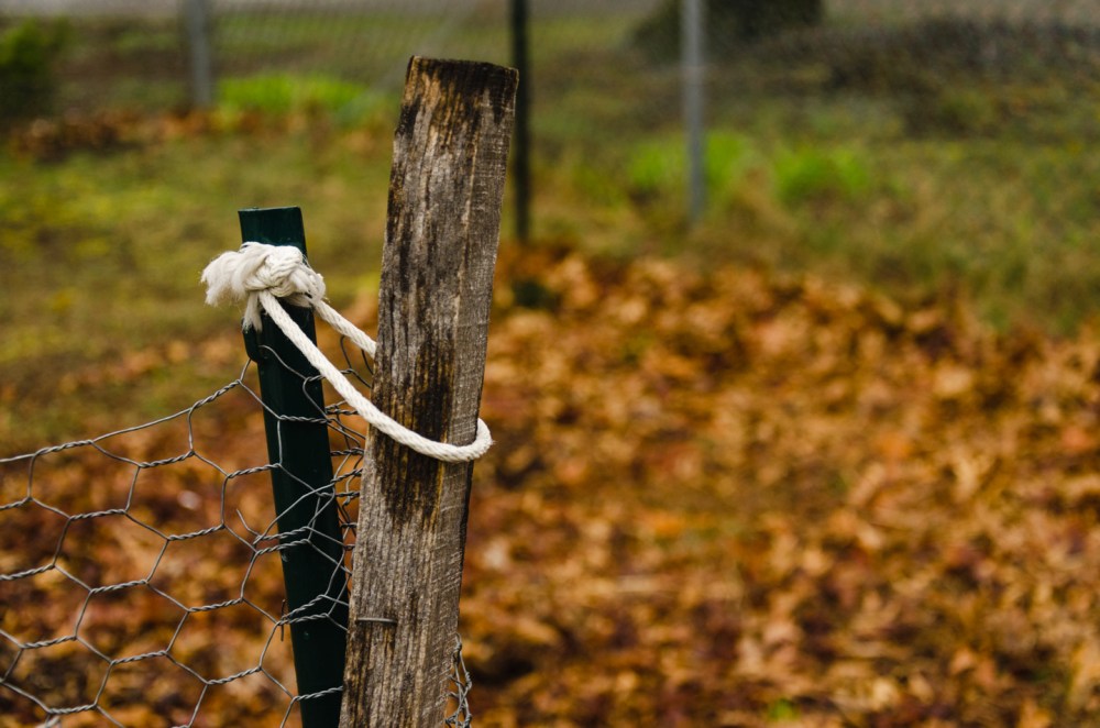 Garden fence gate