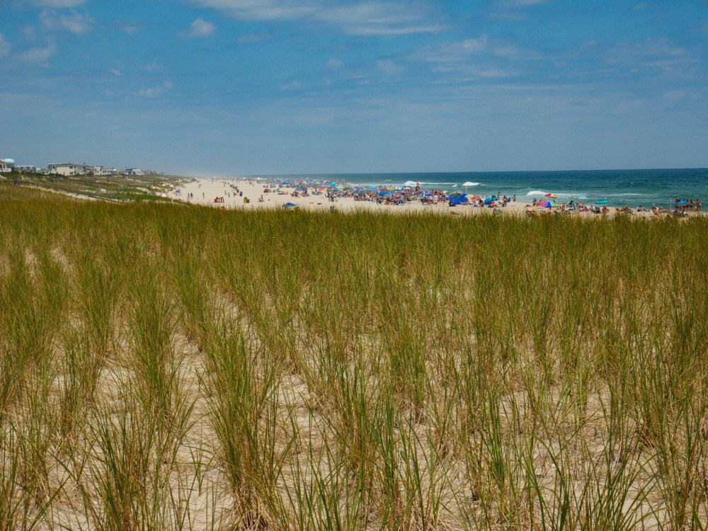 Beach umbrellas as far as the eye can see