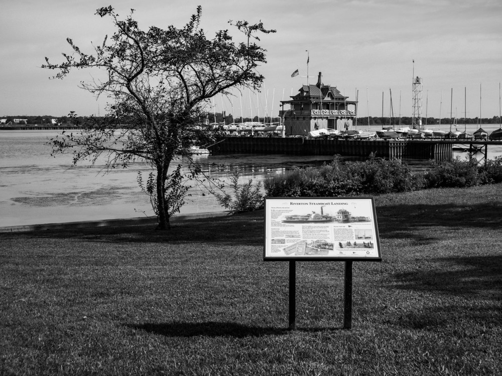 Gnarled tree by the Riverton Boat House