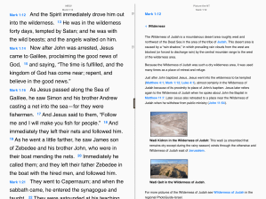 Picture the NT on the iPad