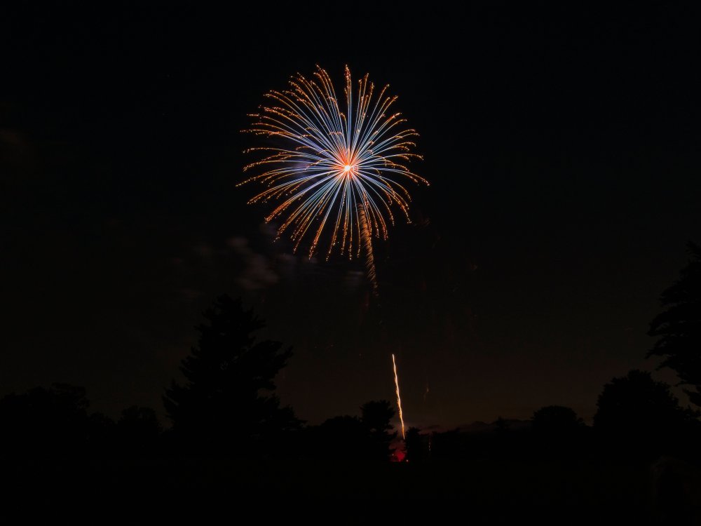 An exploding firework.