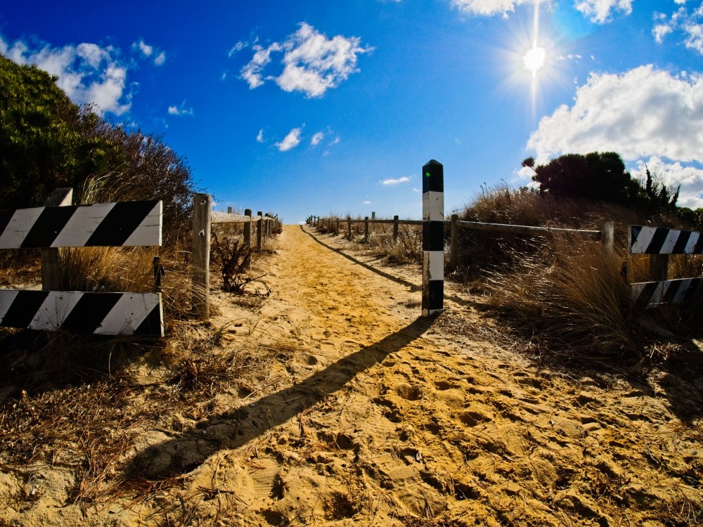 Beach path across the dunes