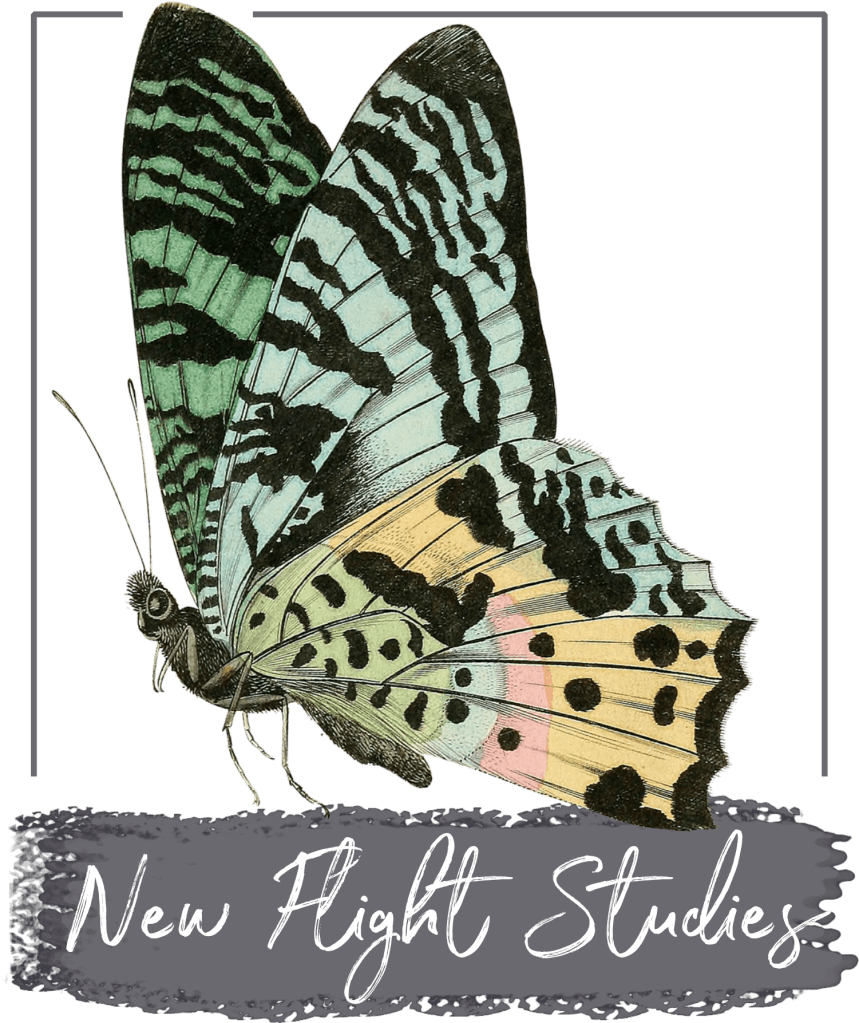 A butterfly prepares to take flight.